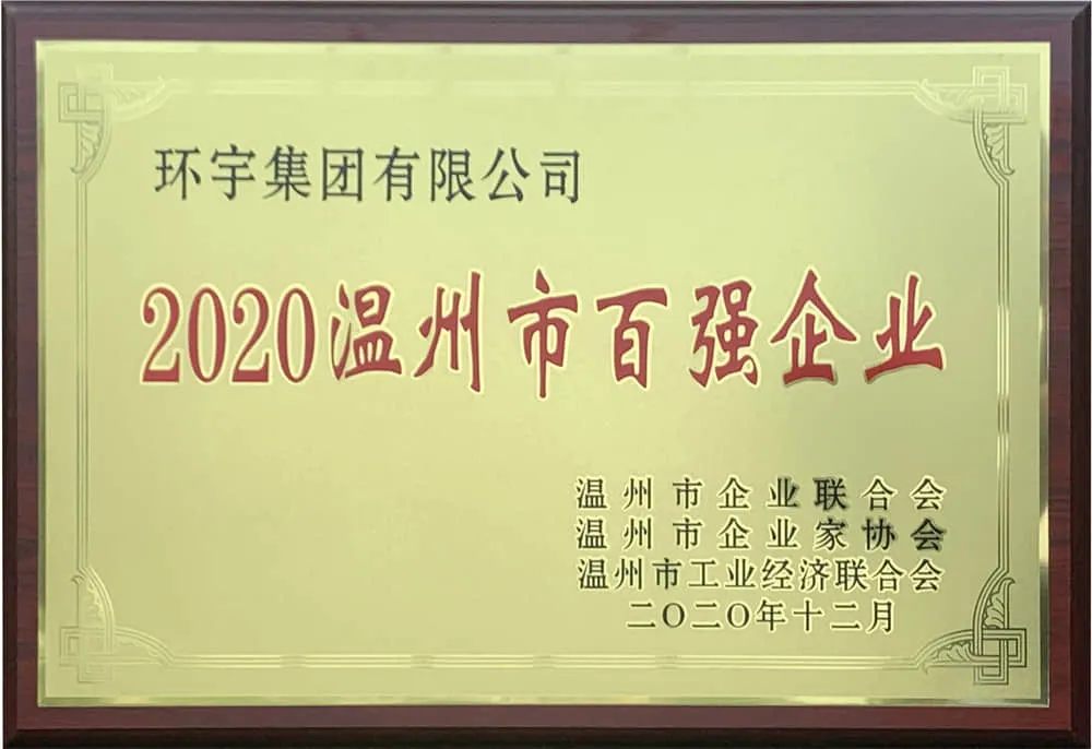 Wenzhou Top 100 2020